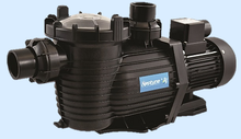 Load image into Gallery viewer, Neptune Pool Pump