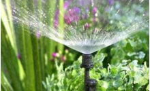 Load image into Gallery viewer, Antelco Spectrum 360-Degree Garden Sprayer
