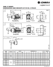 Load image into Gallery viewer, Lowara 3HM Series Pump with Press Control System
